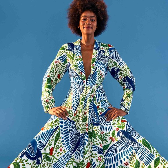 Anthropologie Dresses & Skirts - ⭐️ FARM Rio Blue Macaw Flight Maxi Dress